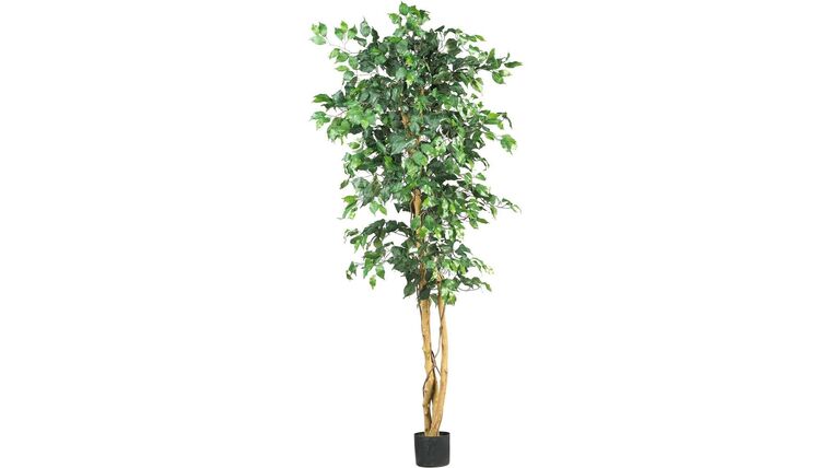 6' Ficus Tree - Artificial | Rental