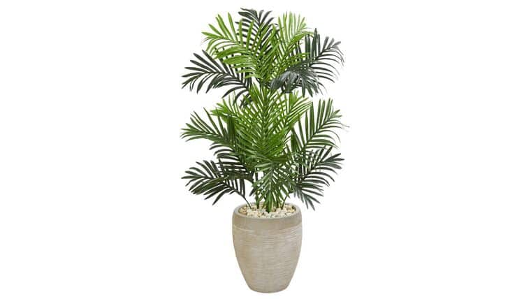 Paradise Palm Artificial Tree in Sand Colored Planter | Rental Paradise Palm Artificial Tree in Sand Colored Planter | Rental