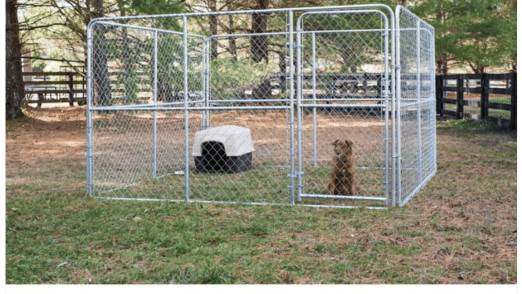 10' x 10' Silver Chain Link Dog Kennel w/Access Door | Rental