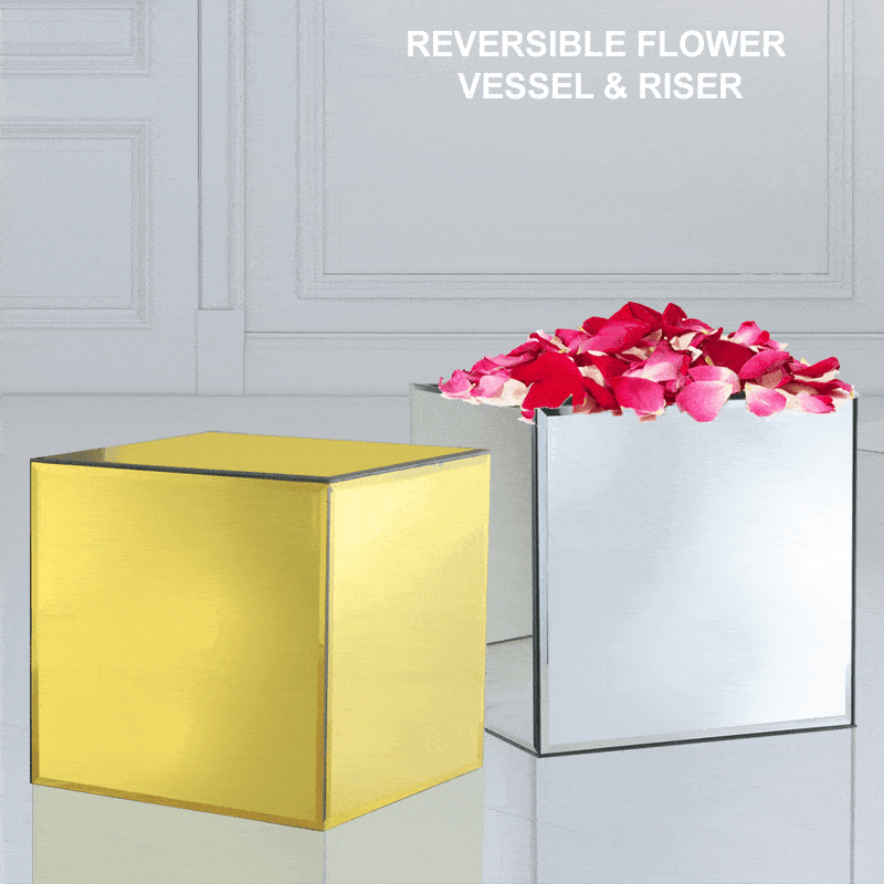 Reversible Mirror Glass Cube Aquarium and Riser | Rental