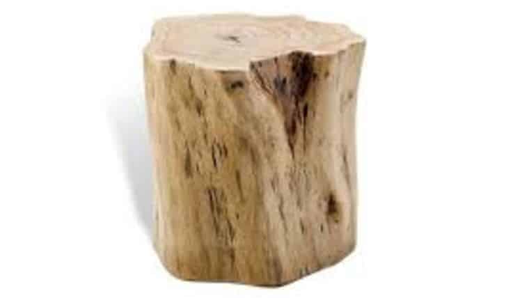 Tree Stump Seat Rental | Rental Tree Stump Seat Rental | Rental