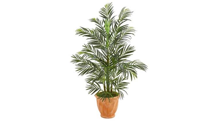4’ Areca Palm Artificial Tree in Terra-cotta Planter (Indoor/Outdoor) | Rental