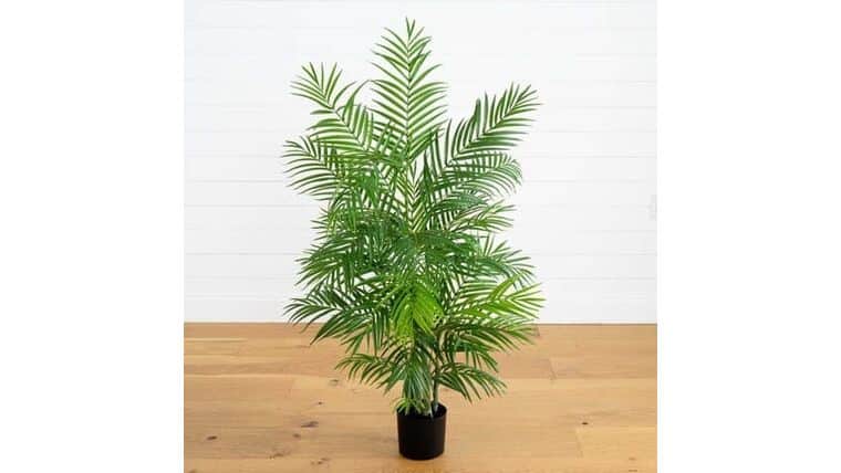 4′ Areca Artificial Silk Palm Tree | Rental