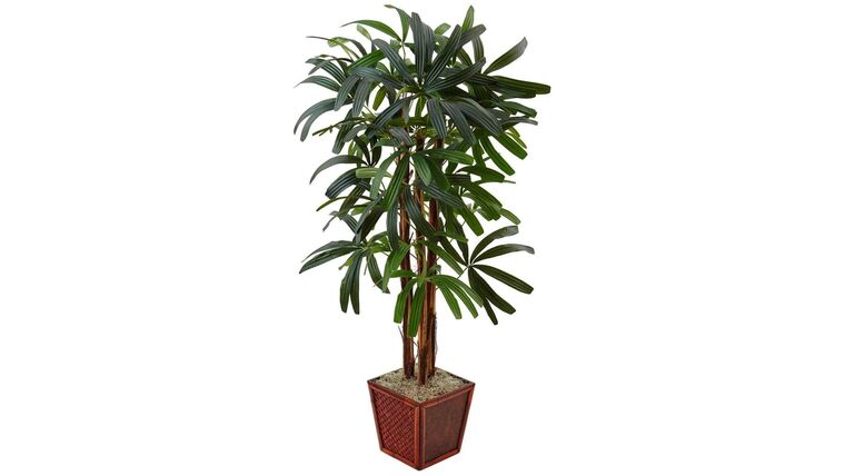 4.5’ Artificial Raphis Palm Tree in Bamboo Planter | Rental