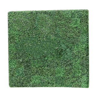Boxwood Champagne Panel Backdrop – 4′ x 8′ | Rental