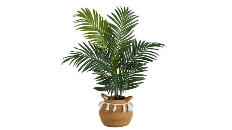 4′ Kentia Palm Artificial Tree in Boho Chic Handmade Natural Cotton Woven Planter with Tassels | Rental