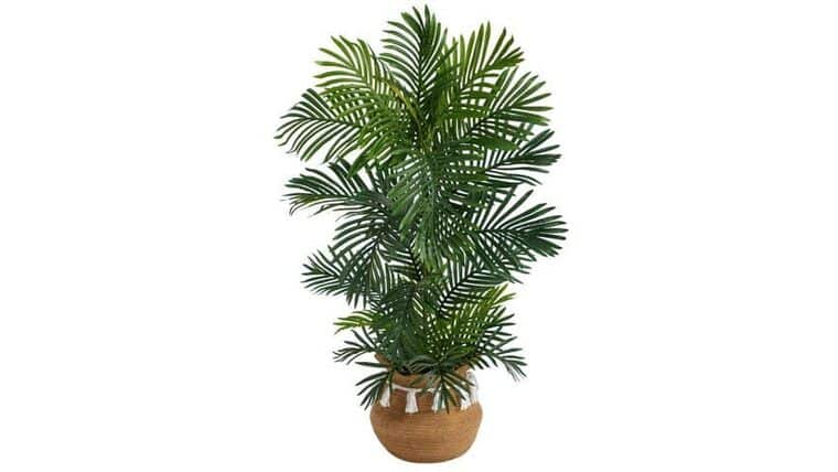40” Areca Palm Tree in Boho Chic Handmade Natural Cotton Woven Planter with Tassels UV Resistant | Rental