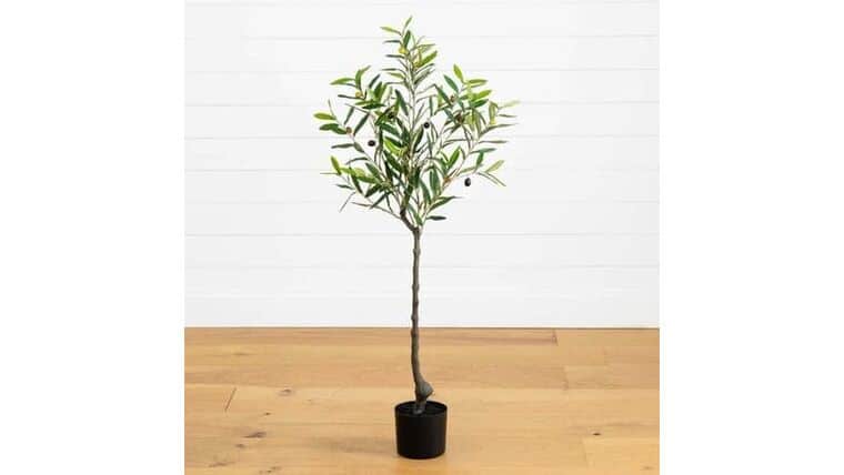 2’ Olive Artificial Tree | Rental