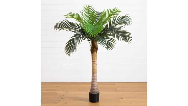 4′ Artificial Coconut Palm Tree | Rental