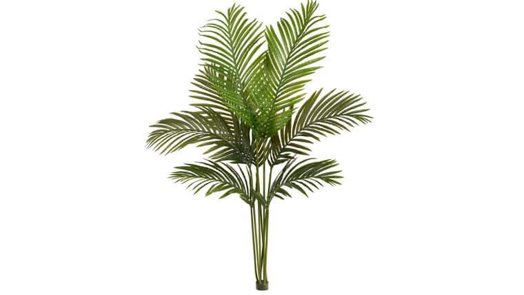 4’ Artificial Paradise Palm Tree (No Pot) | Rental