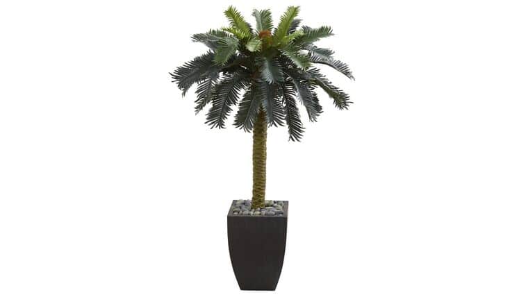 4.5’ Sago Artificial Palm Tree in Black Planter | Rental