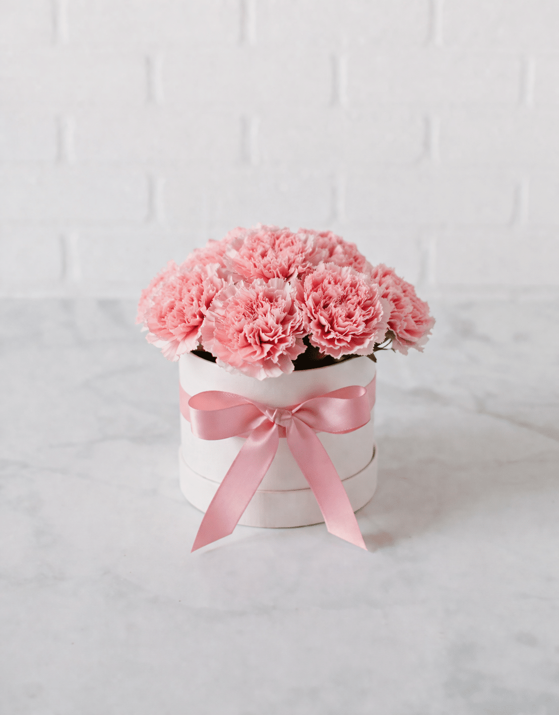 Carnations Bloom Box | Rental Carnations Bloom Box | Rental