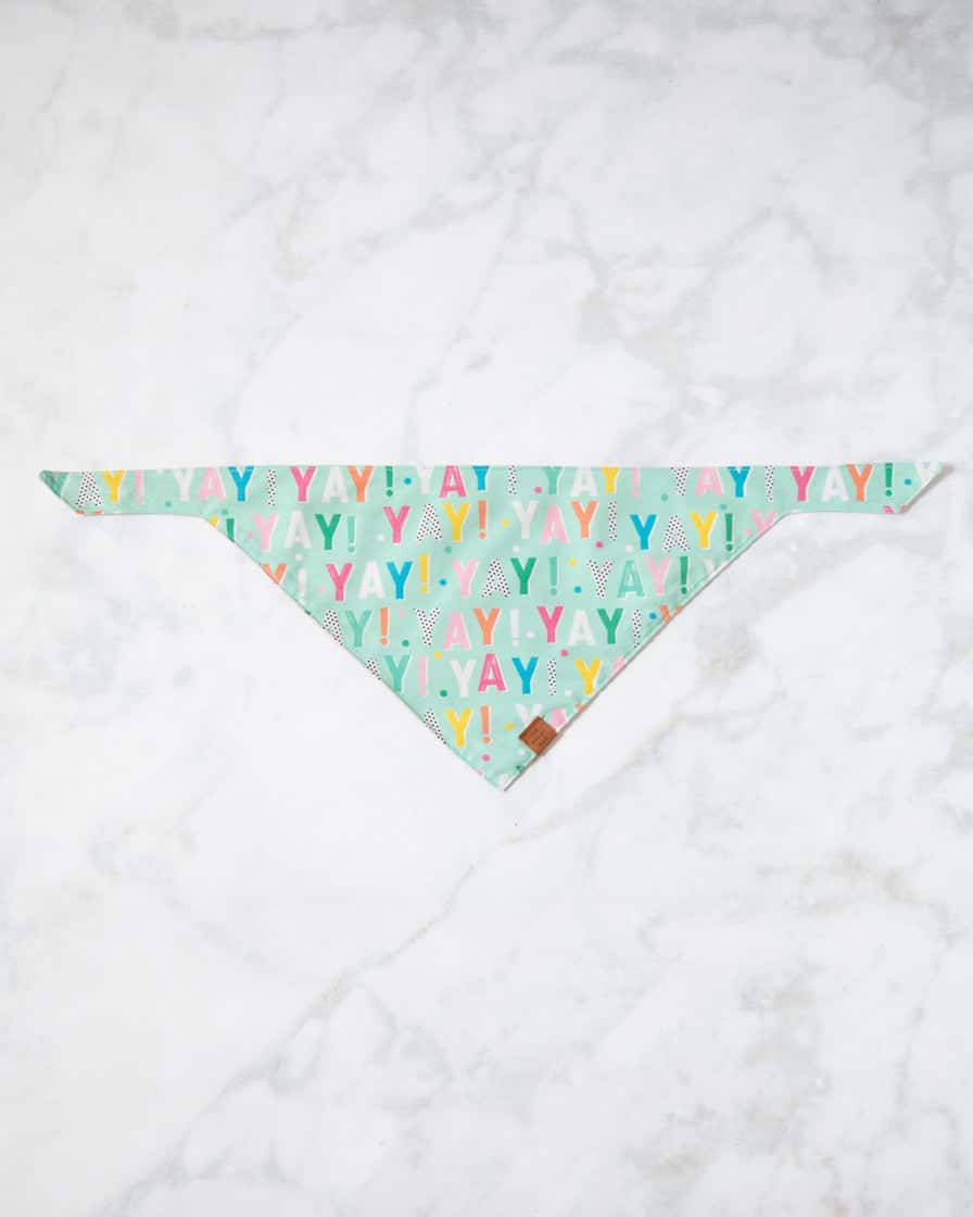 Foggy Dog - Birthday Yay Aqua Dog Bandana (Reversible) | Rental