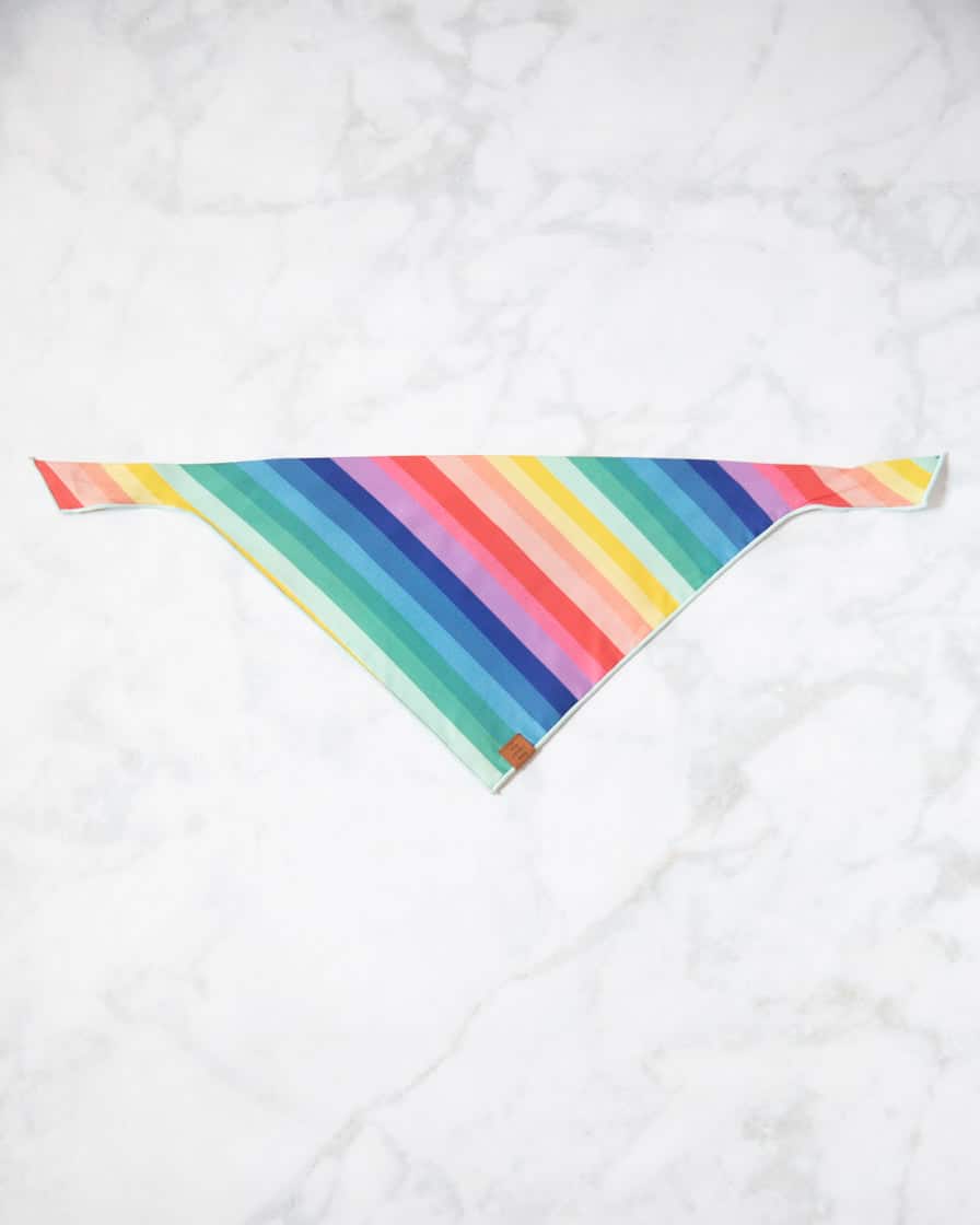 Foggy Dog – Over the Rainbow Dog Bandana | Rental