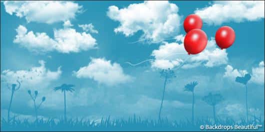 Clouds 8 Balloons | Rental