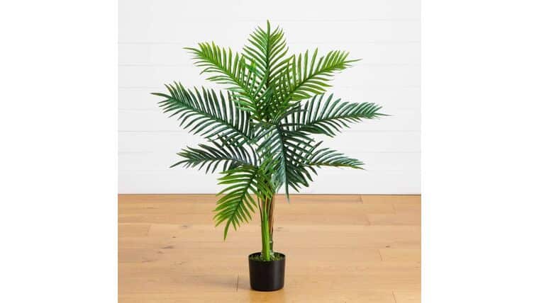 10’ UV Resistant Artificial Double Robellini Palm Tree (Indoor/Outdoor) | Rental