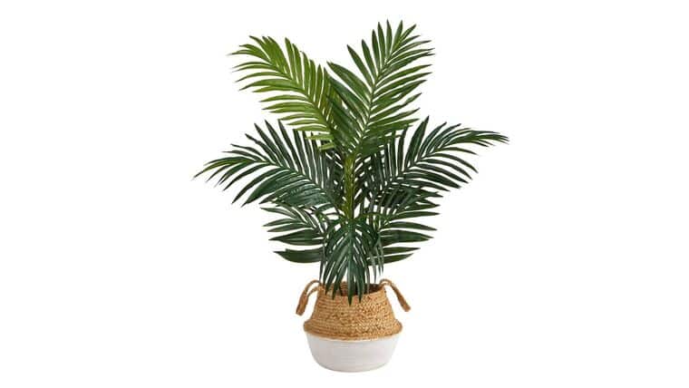 4′ Kentia Palm Artificial Tree in Boho Chic Handmade Cotton & Jute White Woven Planter | Rental