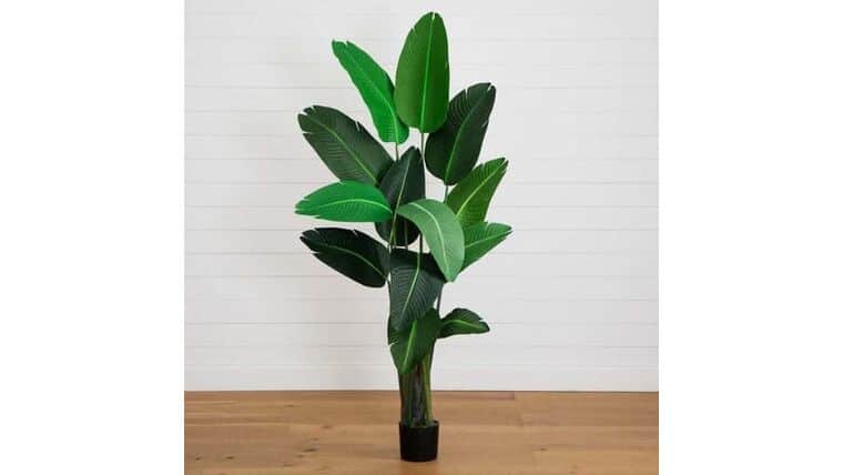 10’ Artificial Travelers Palm Tree | Rental