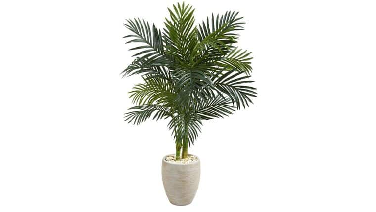 3.5’ Golden Cane Artificial Palm Tree in Terra-Cotta Planter | Rental