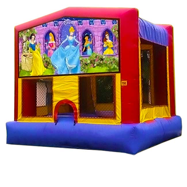 Disney Princess Art Panel | Rental