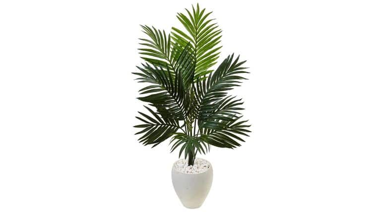 4.5’ Kentia Artificial Palm Tree in White Planter with Legs | Rental