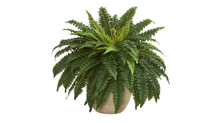 22” Boston Fern Artificial Plant in Sandstone Planter | Rental