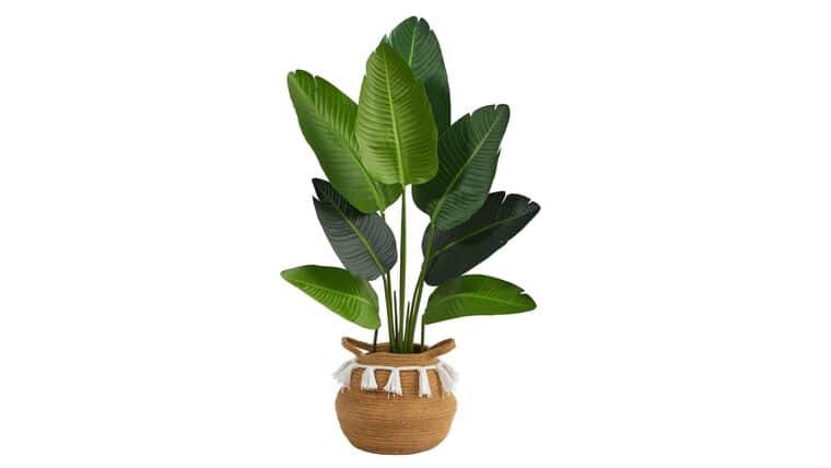 4’ Travelers Palm Artificial Tree in Boho Chic Handmade Natural Cotton Woven Planter with Tassels | Rental