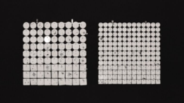 Sequin Shimmer 8’x8′ Backdrop Rental – Splashes White Mirror | Rental Sequin Shimmer 8’x8′ Backdrop Rental – Splashes White Mirror | Rental