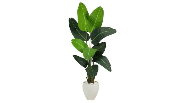 4.5’ Travelers Palm Artificial Tree in White Planter | Rental