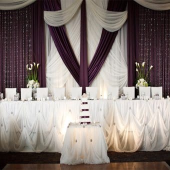 Replacement Cinderella "Stringed" Table Skirt - Skirt Only!