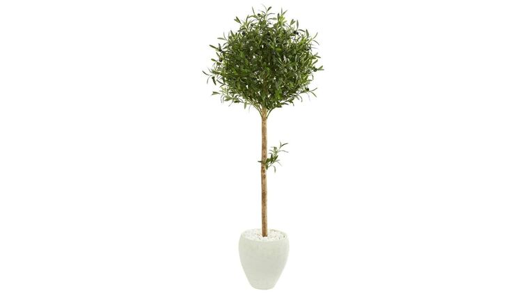 4’ Olive Topiary Artificial Tree in White Planter(Indoor/Outdoor) | Rental