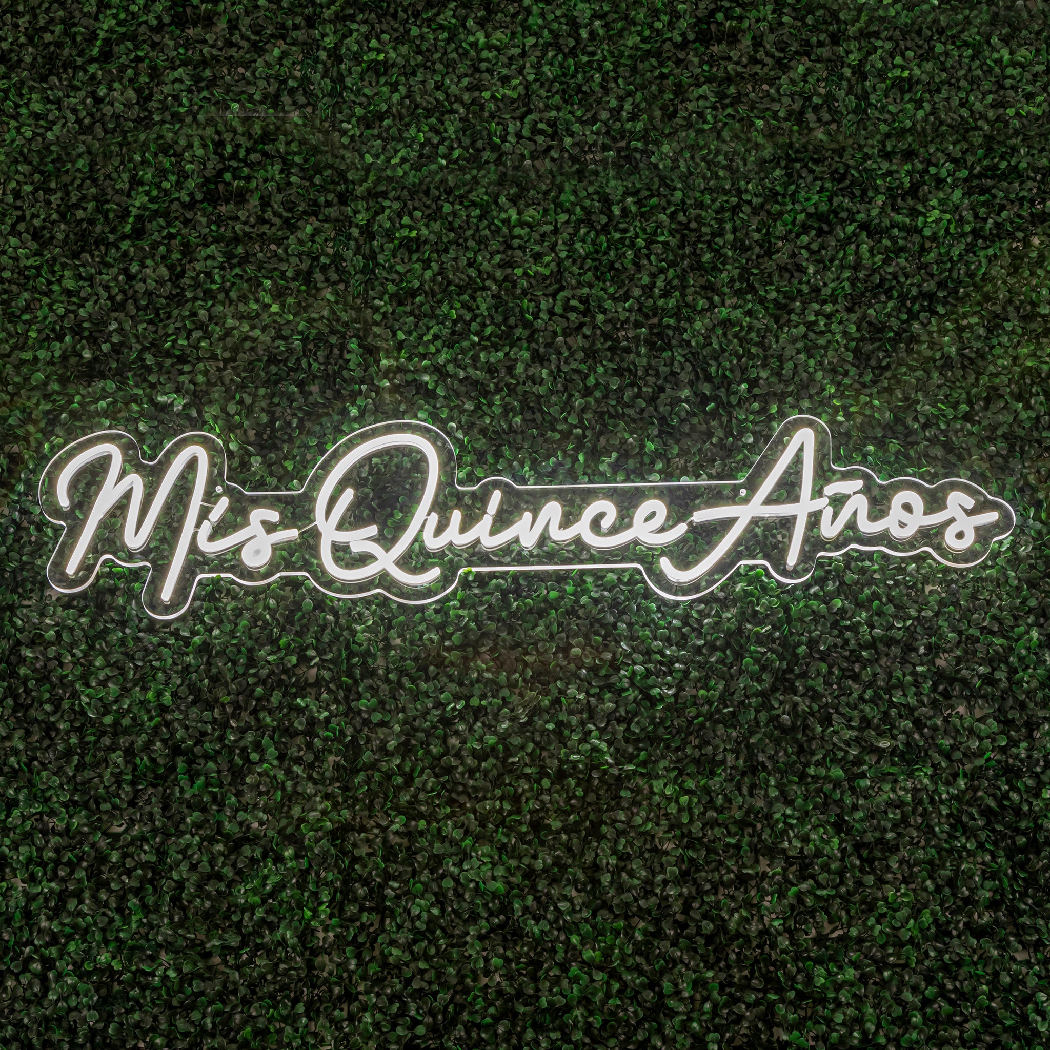 Mis Quince Anos Neon Sign
